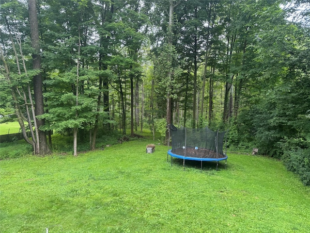 76 All Angels Hill Rd, Wappingers Falls, NY 12590 - photo 17