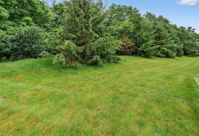 84 Jasmine Dr, Middletown, NY 10940 - view of green lawn
