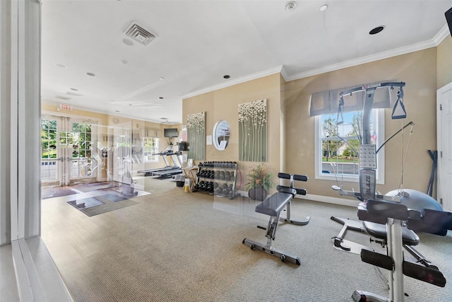 84 Jasmine Dr, Middletown, NY 10940 - exercise room featuring healthy amount of natural light and crown molding