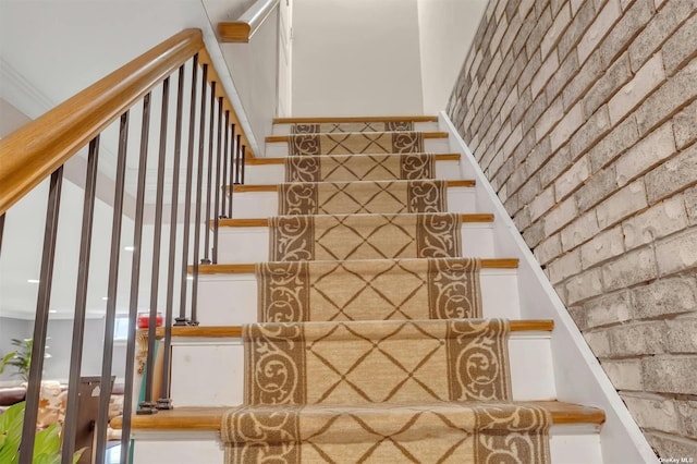102-03 163rd Dr, Howard Beach, NY 11414 - photo 17