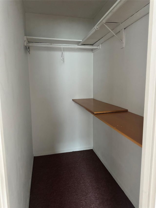 136-24 Maple Ave Unit 3B, Flushing, NY 11355 - view of spacious closet