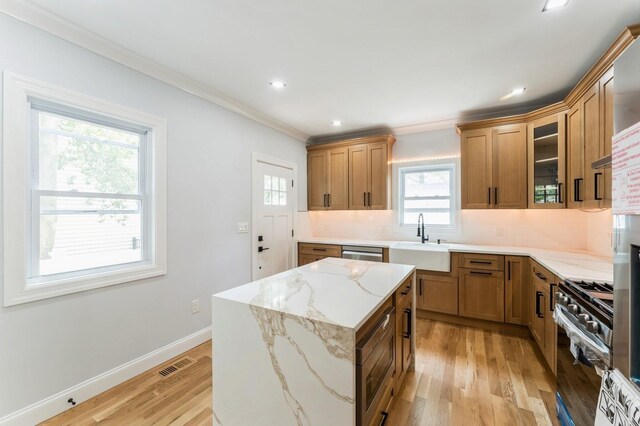 237 Linden Ave, Westbury, NY 11590 - kitchen with stainless steel appliances, ornamental molding, light stone counters, tasteful backsplash, and light wood-type flooring