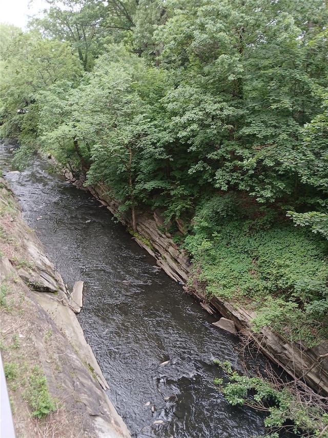 72 Pondfield Rd W Unit 2F, Bronxville, NY 10708 - view of undeveloped land