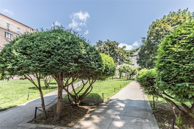 30-47 Hobart St Unit 6, Woodside, NY 11377 - view of home's community with a yard