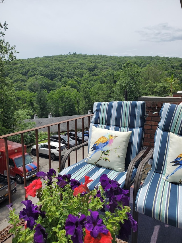 1106 Parkview Dr, Southfields, NY 10975 - balcony featuring a forest view