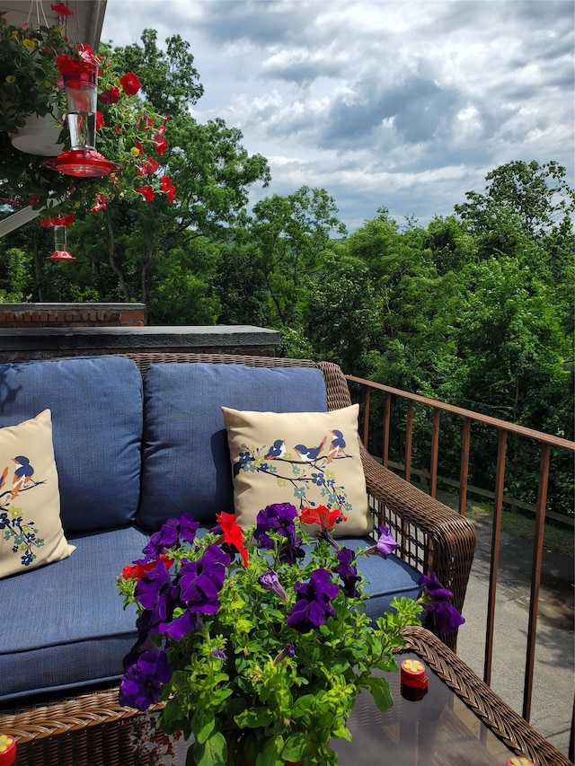1106 Parkview Dr, Southfields, NY 10975 - view of balcony