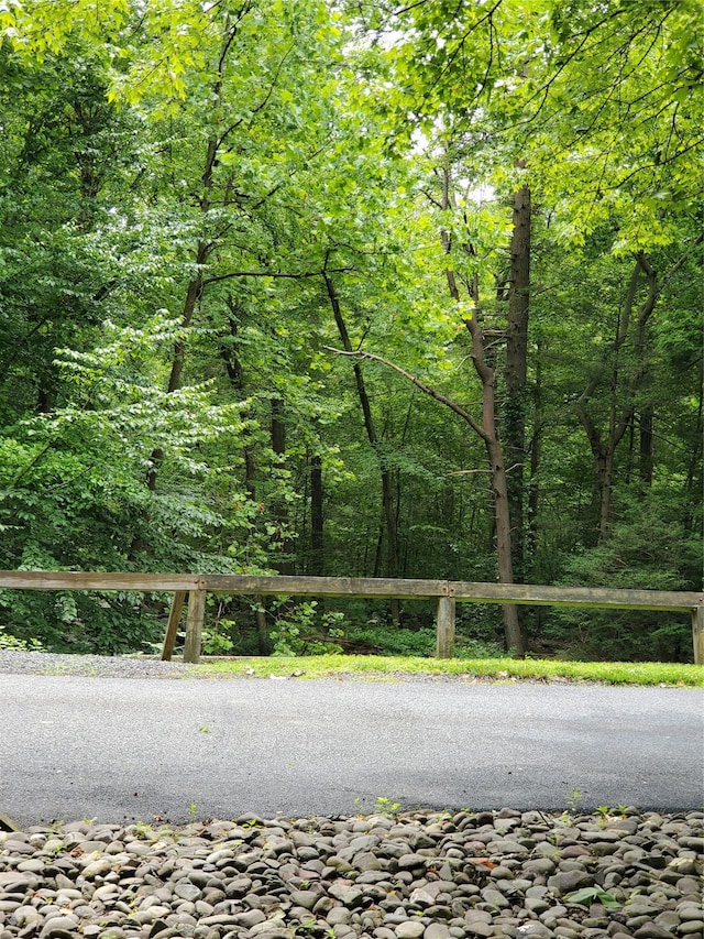 1106 Parkview Dr, Southfields, NY 10975 - view of road featuring a forest view
