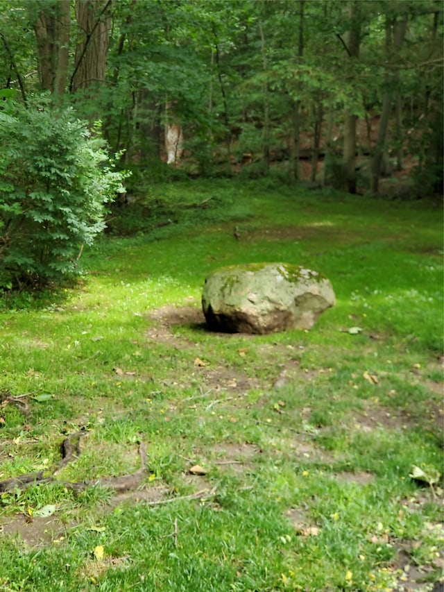 1106 Parkview Dr, Southfields, NY 10975 - view of yard