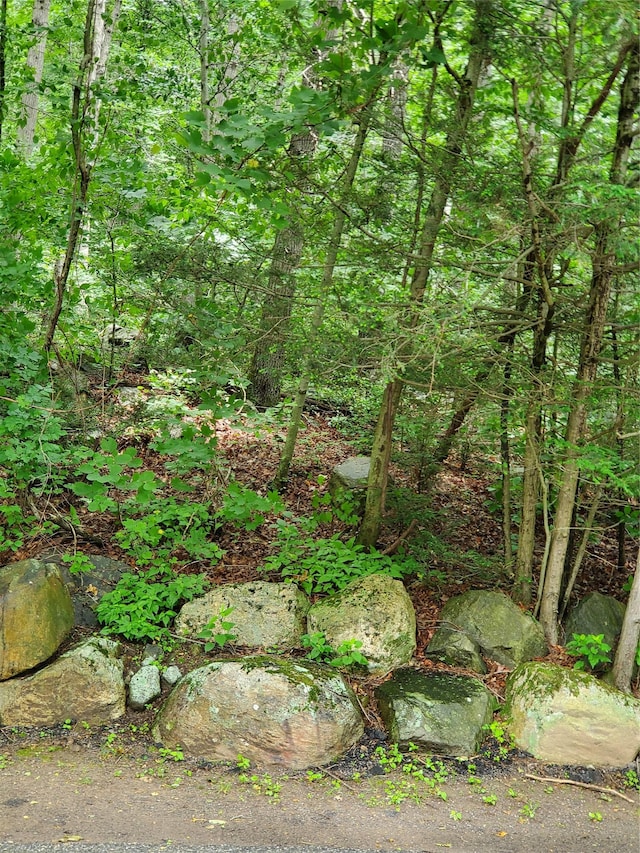 1106 Parkview Dr, Southfields, NY 10975 - view of nature