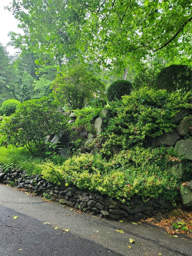 1106 Parkview Dr, Southfields, NY 10975 - view of undeveloped land
