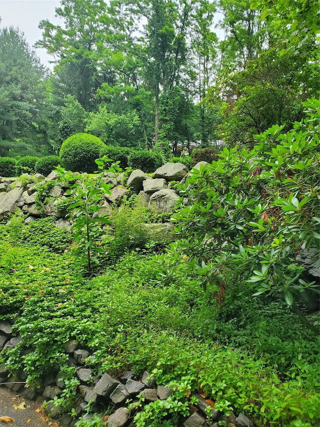 1106 Parkview Dr, Southfields, NY 10975 - view of undeveloped land