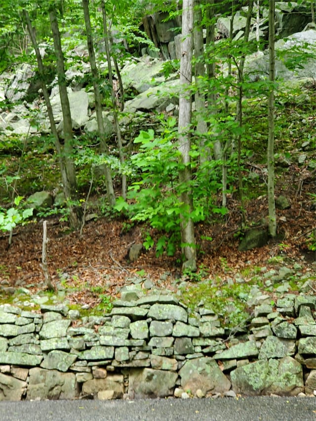 1106 Parkview Dr, Southfields, NY 10975 - view of undeveloped land