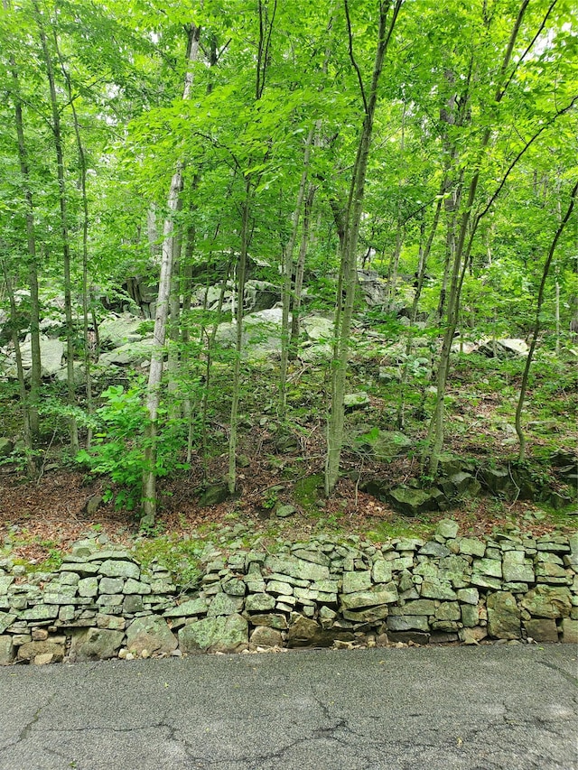 1106 Parkview Dr, Southfields, NY 10975 - view of undeveloped land