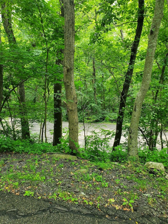 1106 Parkview Dr, Southfields, NY 10975 - view of tree filled area