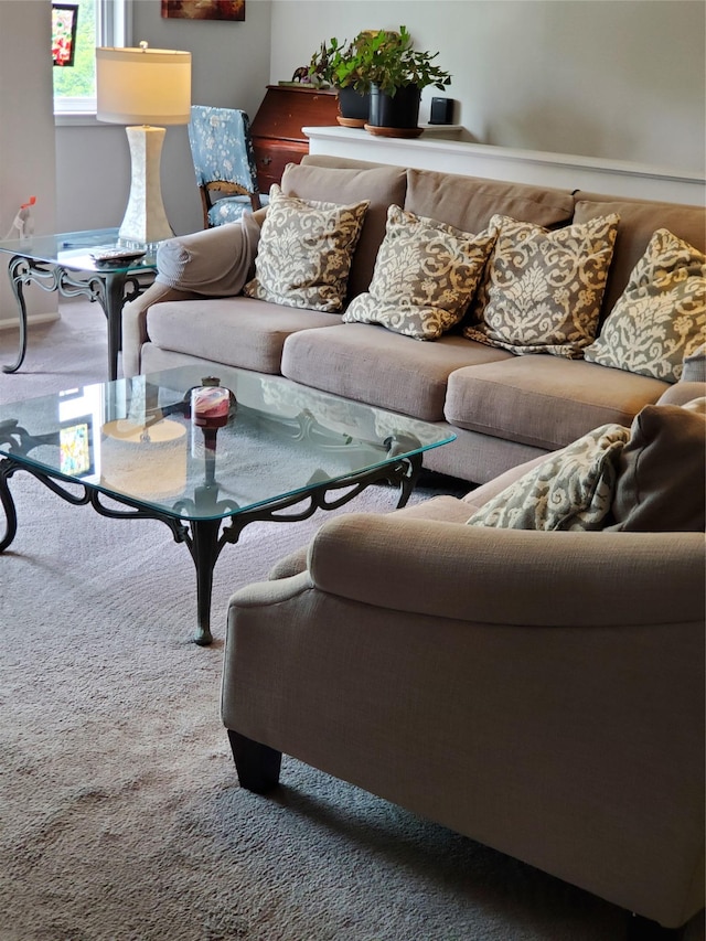 1106 Parkview Dr, Southfields, NY 10975 - living room with carpet