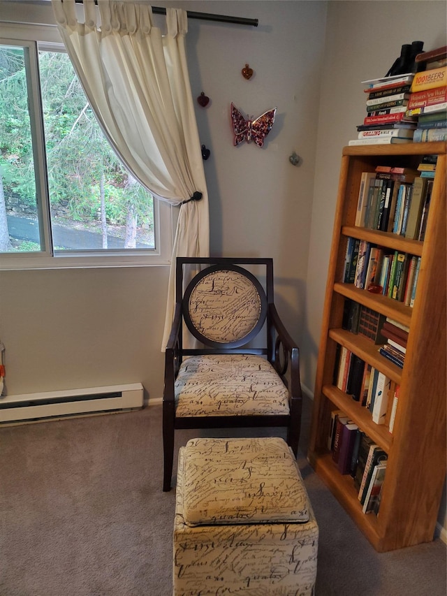 1106 Parkview Dr, Southfields, NY 10975 - carpeted bedroom featuring a baseboard heating unit