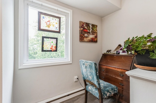 1106 Parkview Dr, Southfields, NY 10975 - sitting room featuring a baseboard heating unit