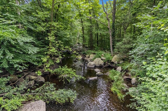 1106 Parkview Dr, Southfields, NY 10975 - view of nature