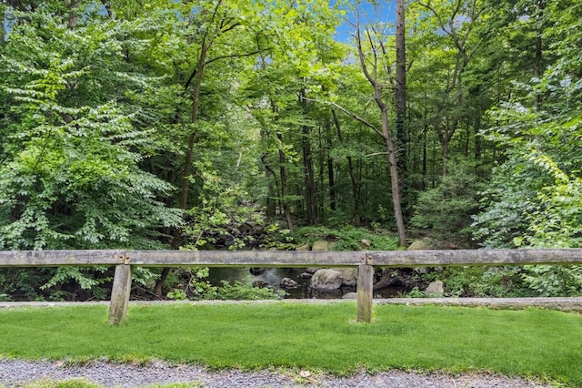 1106 Parkview Dr, Southfields, NY 10975 - view of green lawn featuring a view of trees