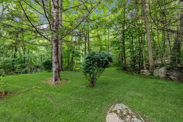 1106 Parkview Dr, Southfields, NY 10975 - view of grassy yard with a forest view