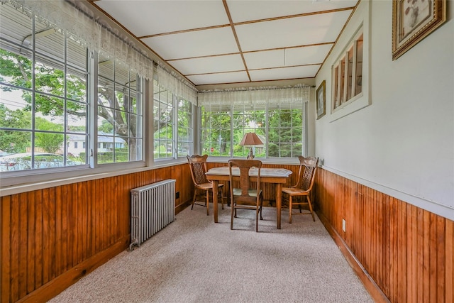 56 Locust Dr, Rocky Point, NY 11778 - sunroom featuring radiator heating unit, healthy amount of natural light, wood walls, carpet flooring, and a wainscoted wall