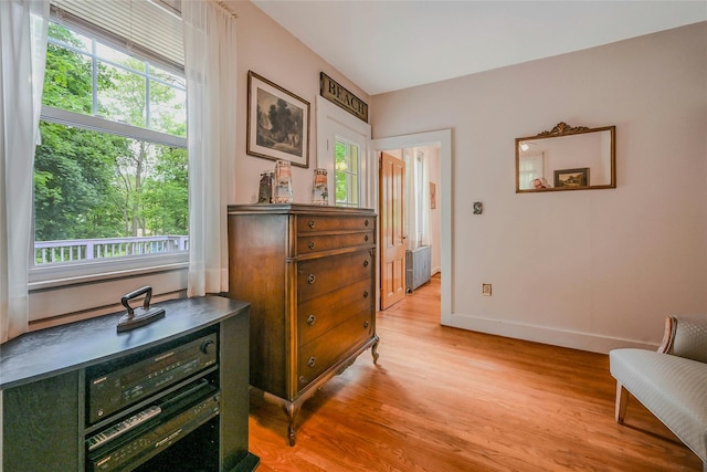 56 Locust Dr, Rocky Point, NY 11778 - living area featuring healthy amount of natural light, light wood-style floors, and radiator heating unit