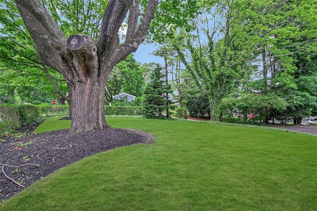 56 Locust Dr, Rocky Point, NY 11778 - view of green lawn