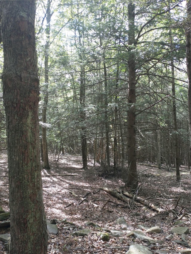650 Thunder Hill Rd, Neversink, NY 12788