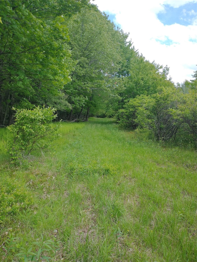 650 Thunder Hill Rd, Neversink, NY 12788