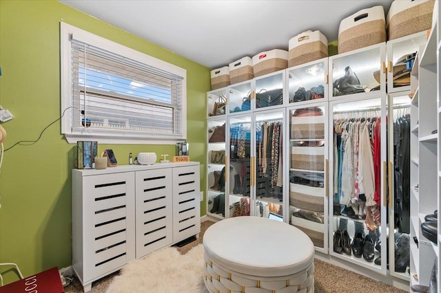7 Pine Tree Dr, Shirley, NY 11967 - spacious closet featuring carpet