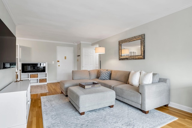 5 Birchwood Ct Unit 2C, Mineola, NY 11501 - living area featuring light wood-style flooring and ornamental molding