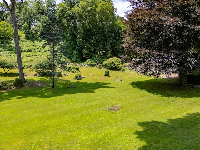 85 Jay St, Stony Point, NY 10980 - view of green lawn