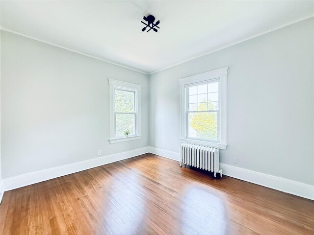 374 King St, Port Chester, NY 10573 - photo 25