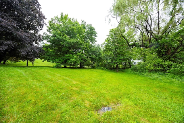 16 Bushwick Rd, Poughkeepsie, NY 12603 - view of grassy yard