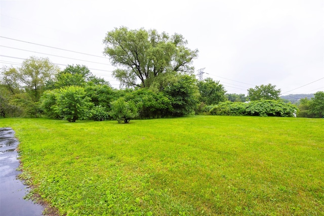 16 Bushwick Rd, Poughkeepsie, NY 12603 - view of grassy yard