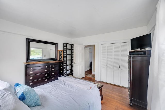 29 E St, Hicksville, NY 11801 - bedroom with wood finished floors and a closet