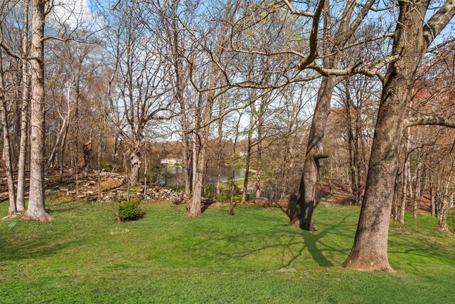 133 Heritage Hls Unit B, Somers, NY 10589 - photo 31