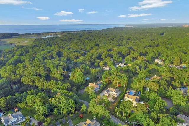 19 Meadow Glen Rd, Fort Salonga, NY 11768 - aerial overview of property's location featuring a heavily wooded area
