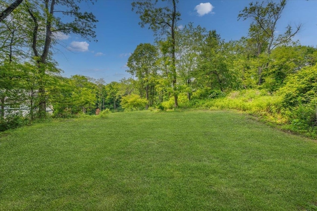 63 Buckout Rd, West Harrison, NY 10604 - view of grassy yard featuring a wooded view