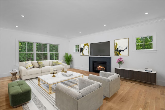 63 Buckout Rd, West Harrison, NY 10604 - living area with a glass covered fireplace, light wood-style flooring, crown molding, and recessed lighting
