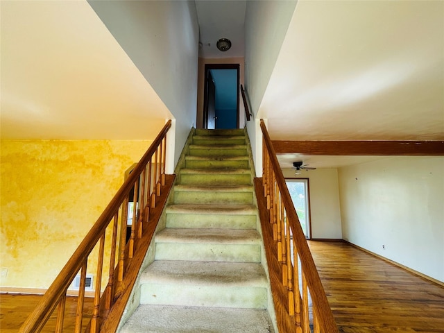 245 Stone St, Elmont, NY 11003 - photo 7