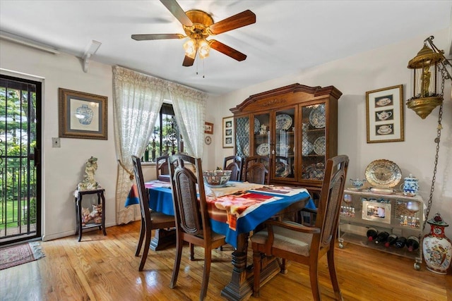 7429 Calamus Ave Unit 20, Flushing, NY 11373 - photo 4