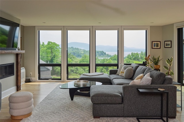 20 Paye Ave, Beacon, NY 12508 - living room with wood finished floors and a glass covered fireplace