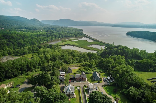 20 Paye Ave, Beacon, NY 12508 - drone / aerial view of a water and mountain view and a heavily wooded area
