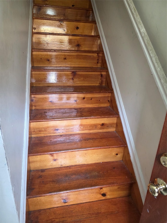 301 Wyona St, Brooklyn, NY 11207 - photo 4