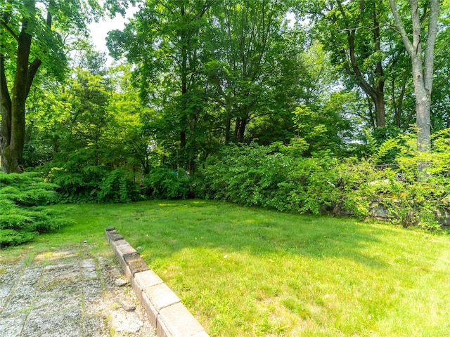 175 Chappaqua Rd, Briarcliff Manor, NY 10562 - view of green lawn