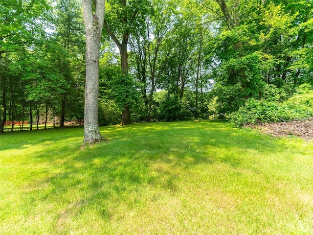 175 Chappaqua Rd, Briarcliff Manor, NY 10562 - view of grassy yard