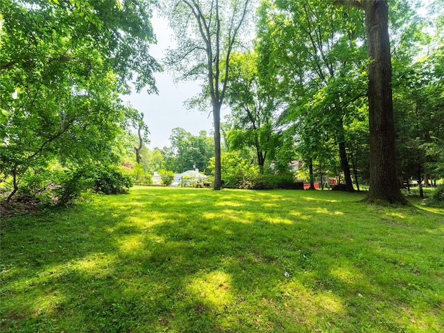 175 Chappaqua Rd, Briarcliff Manor, NY 10562 - view of grassy yard