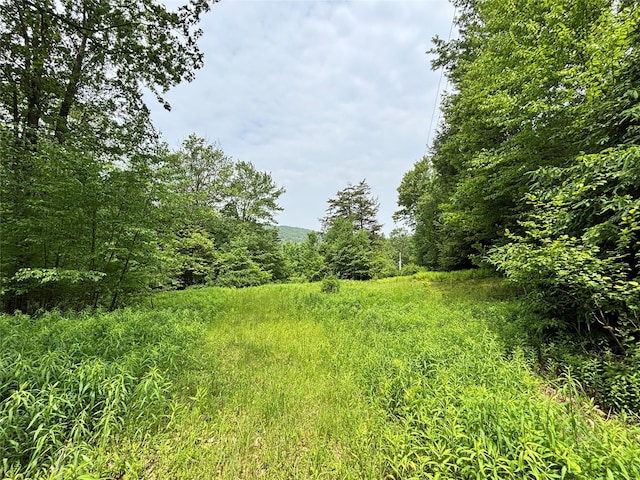 16 Indian Summer Rd, Deposit, NY 13754