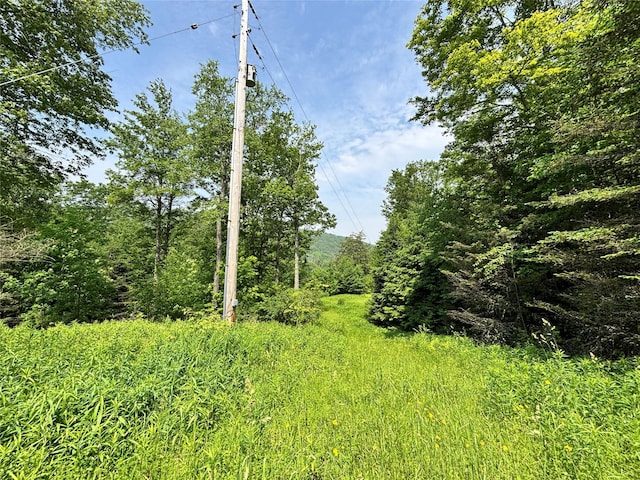 16 Indian Summer Rd, Deposit, NY 13754